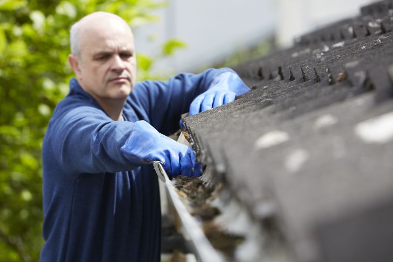 Residential Gutter Inspection